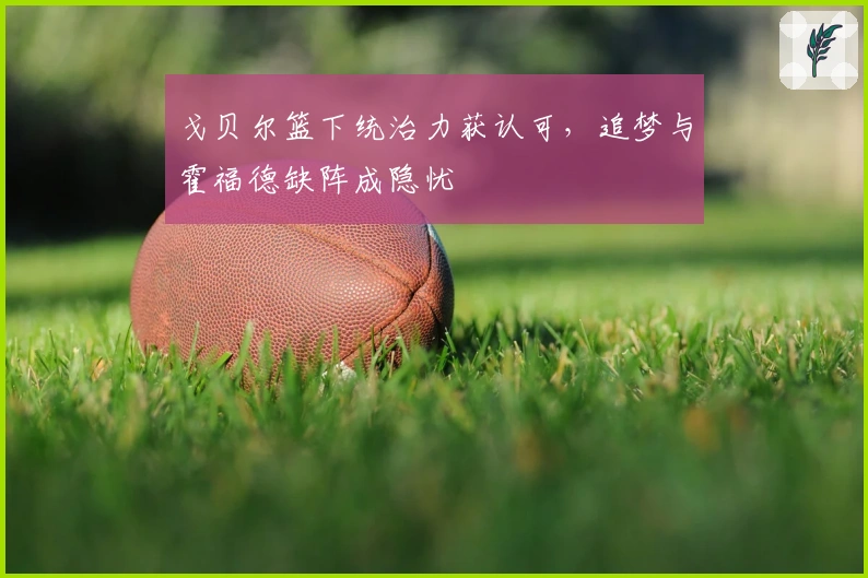 戈贝尔篮下统治力获认可，追梦与霍福德缺阵成隐忧